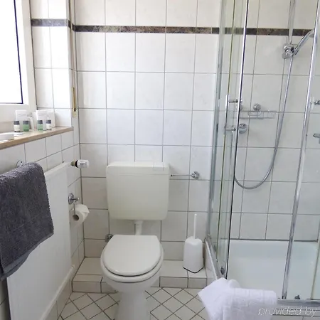 Hotel Alt Buettgen 2*