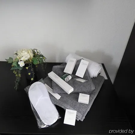 布特根阿尔特酒店 酒店 卡尔斯特